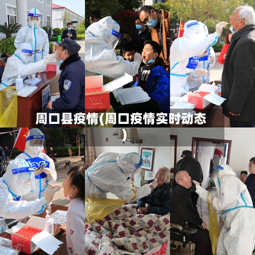 周口县疫情(周口疫情实时动态)-第2张图片