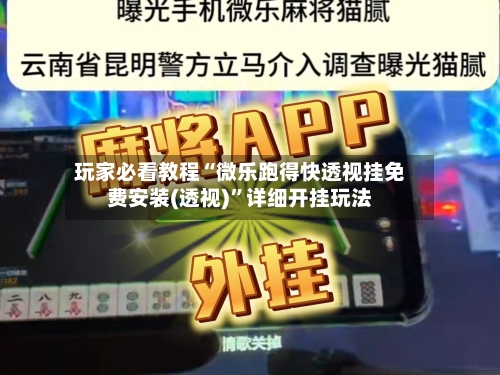 玩家必看教程“微乐跑得快透视挂免费安装(透视)”详细开挂玩法-第3张图片