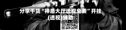 分享干货“神盾大厅透视免费	”开挂(透视)辅助-第1张图片