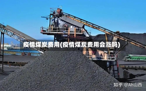 疫情煤炭费用(疫情煤炭费用会涨吗)-第1张图片