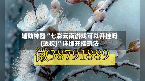 辅助神器“七彩云南游戏可以开挂吗(透视)	”详细开挂玩法-第1张图片