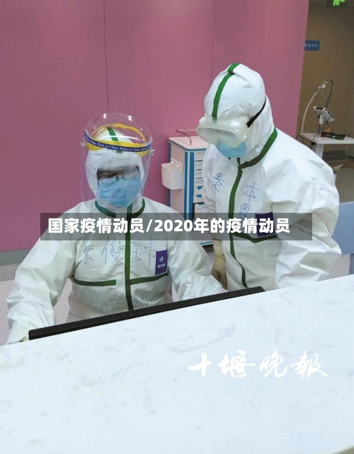 国家疫情动员/2020年的疫情动员-第2张图片