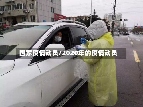 国家疫情动员/2020年的疫情动员