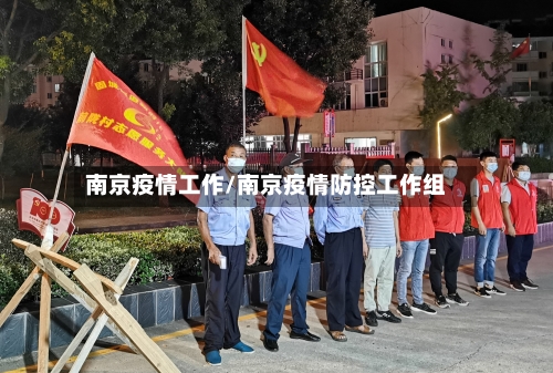 南京疫情工作/南京疫情防控工作组