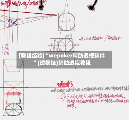 [教程经验]“wepoker辅助透视软件”(透视挂)辅助透视教程-第1张图片