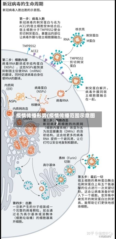 疫情传播形势(疫情传播范围示意图)-第1张图片