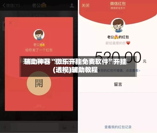 辅助神器“微乐开挂免费软件”开挂(透视)辅助教程-第3张图片