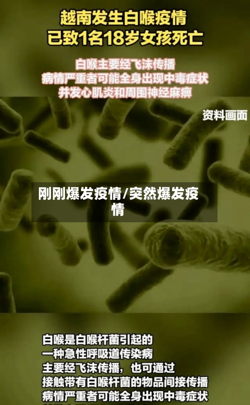 刚刚爆发疫情/突然爆发疫情-第1张图片