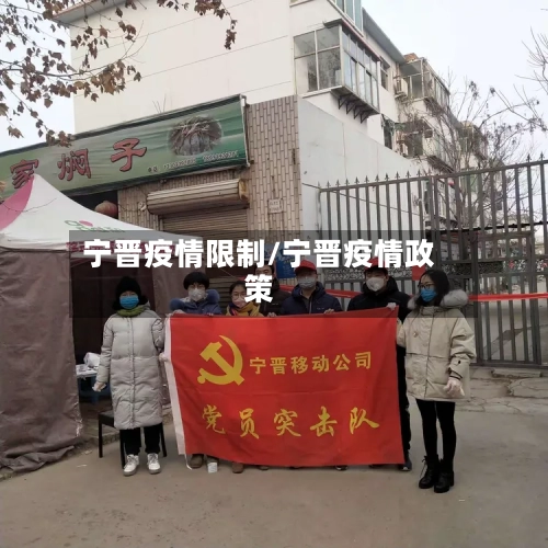 宁晋疫情限制/宁晋疫情政策