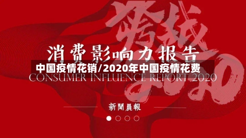 中国疫情花销/2020年中国疫情花费