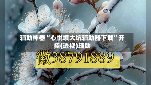 辅助神器“心悦填大坑辅助器下载”开挂(透视)辅助