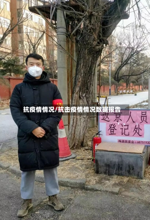 抗疫情情况/抗击疫情情况数据报告-第2张图片