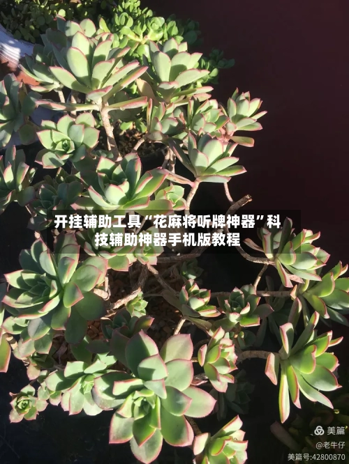 开挂辅助工具“花麻将听牌神器”科技辅助神器手机版教程-第1张图片