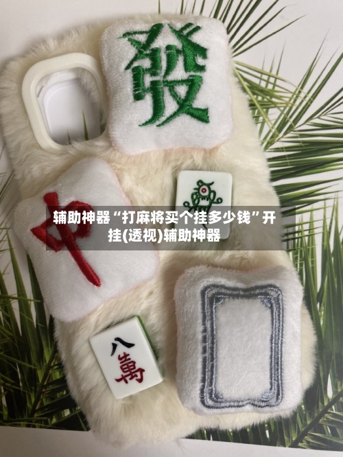 辅助神器“打麻将买个挂多少钱”开挂(透视)辅助神器-第1张图片