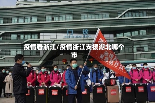 疫情看浙江/疫情浙江支援湖北哪个市