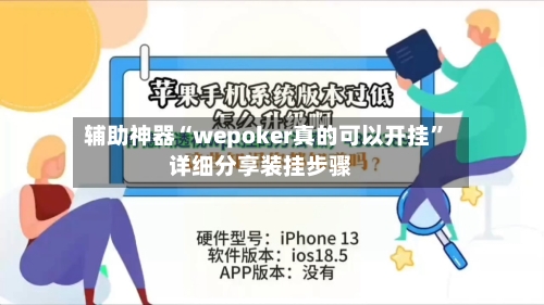 辅助神器“wepoker真的可以开挂”详细分享装挂步骤-第2张图片