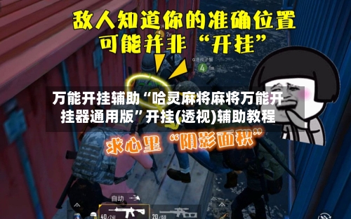 万能开挂辅助“哈灵麻将麻将万能开挂器通用版	”开挂(透视)辅助教程-第1张图片