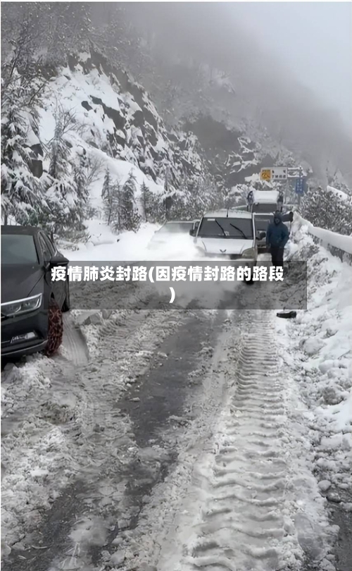 疫情肺炎封路(因疫情封路的路段)