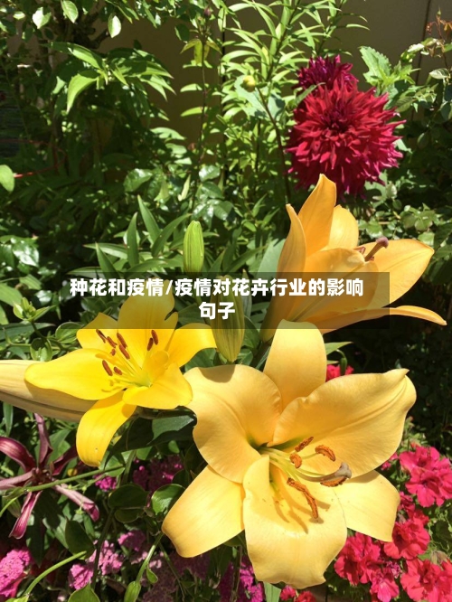 种花和疫情/疫情对花卉行业的影响句子