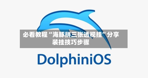 必看教程“海豚拼三张透视挂”分享装挂技巧步骤-第2张图片