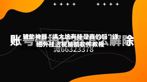辅助神器“填大坑有挂是真的吗”详细外挂透视辅助软件教程-第1张图片