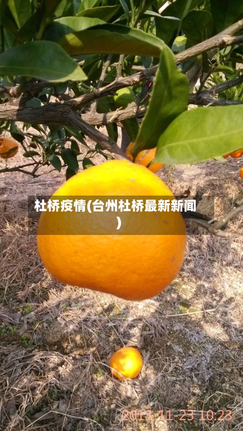 杜桥疫情(台州杜桥最新新闻)