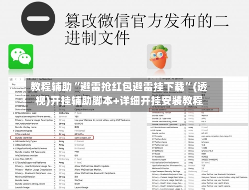 教程辅助“避雷抢红包避雷挂下载”(透视)开挂辅助脚本+详细开挂安装教程-第1张图片