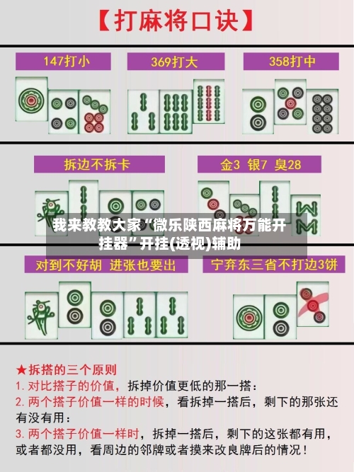 我来教教大家“微乐陕西麻将万能开挂器”开挂(透视)辅助-第2张图片