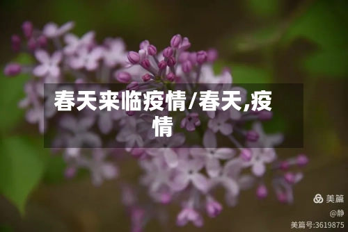 春天来临疫情/春天,疫情-第2张图片