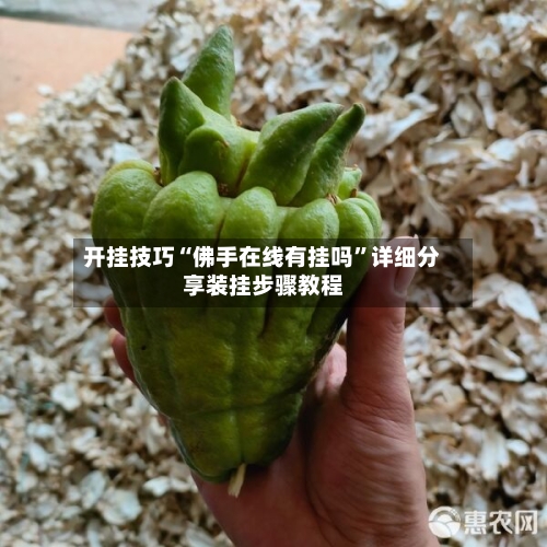 开挂技巧“佛手在线有挂吗”详细分享装挂步骤教程-第2张图片