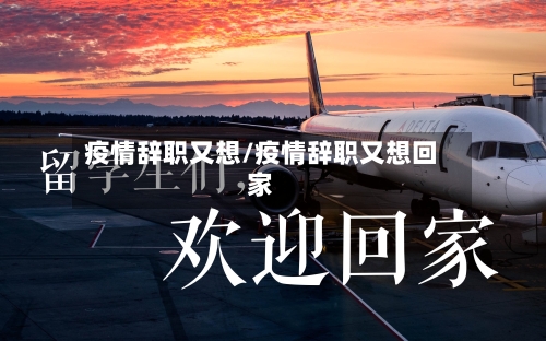 疫情辞职又想/疫情辞职又想回家-第3张图片