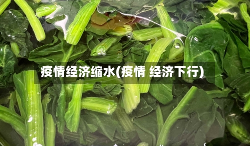 疫情经济缩水(疫情 经济下行)