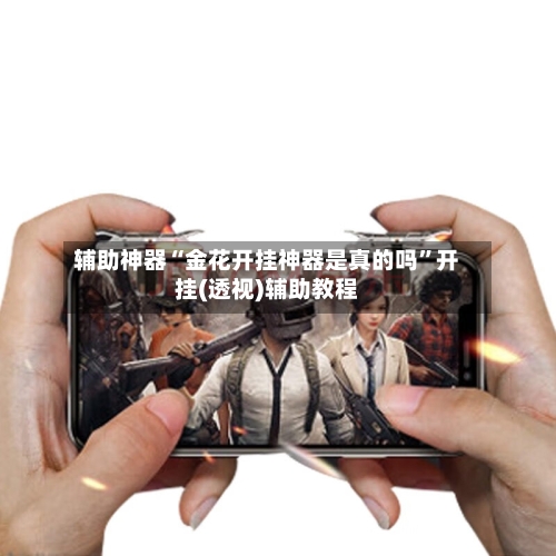 辅助神器“金花开挂神器是真的吗”开挂(透视)辅助教程-第3张图片