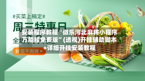 安装程序教程“微乐河北麻将小程序万能挂免费版”(透视)开挂辅助脚本+详细开挂安装教程