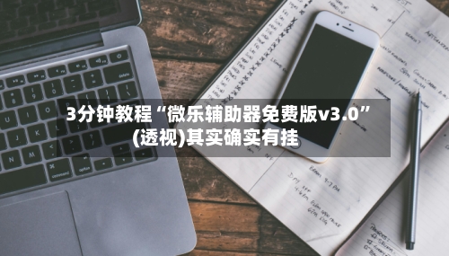 3分钟教程“微乐辅助器免费版v3.0”(透视)其实确实有挂-第2张图片