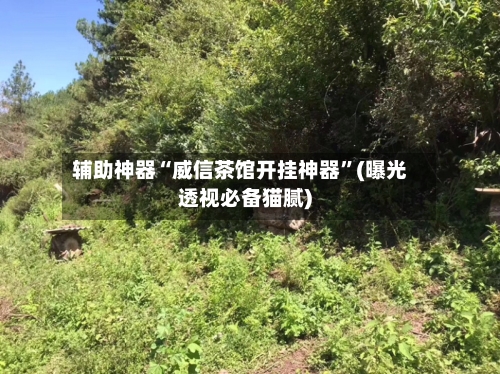 辅助神器“威信茶馆开挂神器”(曝光透视必备猫腻)-第2张图片