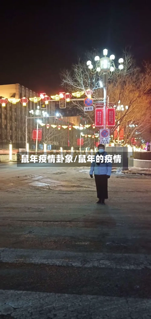 鼠年疫情卦象/鼠年的疫情