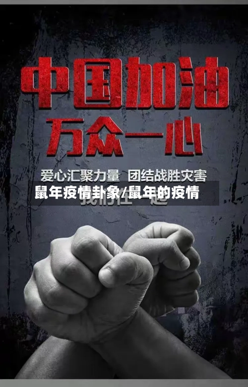 鼠年疫情卦象/鼠年的疫情-第2张图片