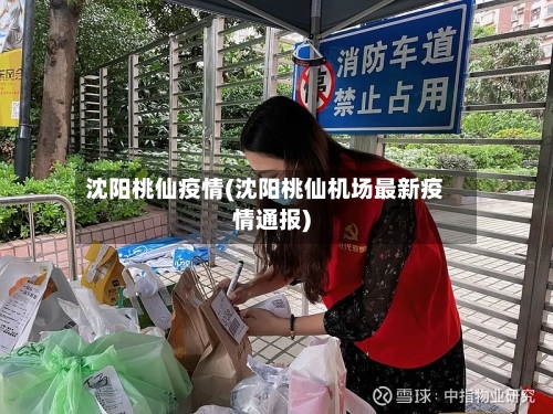 沈阳桃仙疫情(沈阳桃仙机场最新疫情通报)-第2张图片
