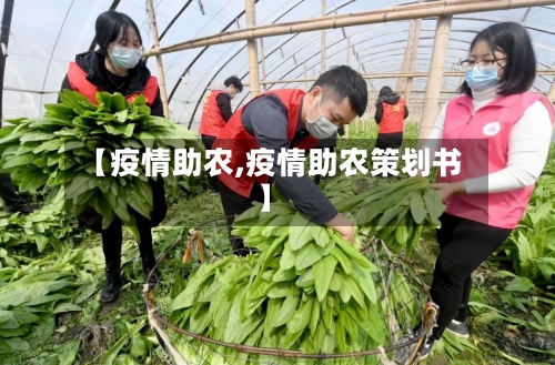 【疫情助农,疫情助农策划书】-第1张图片