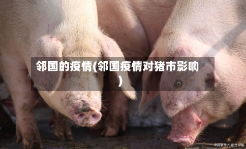 邻国的疫情(邻国疫情对猪市影响)