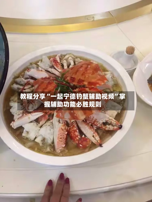教程分享“一起宁德钓蟹辅助视频”掌握辅助功能必胜规则-第2张图片