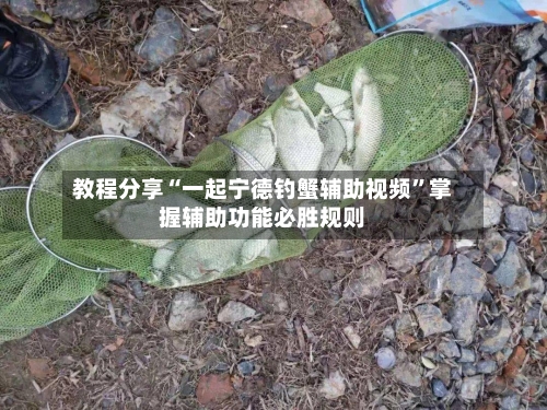 教程分享“一起宁德钓蟹辅助视频”掌握辅助功能必胜规则