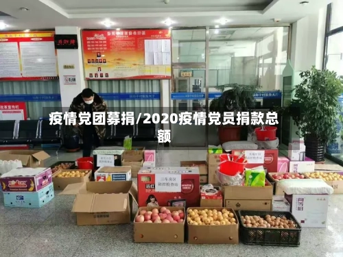 疫情党团募捐/2020疫情党员捐款总额