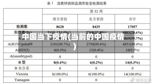 中国当下疫情(当前的中国疫情)
