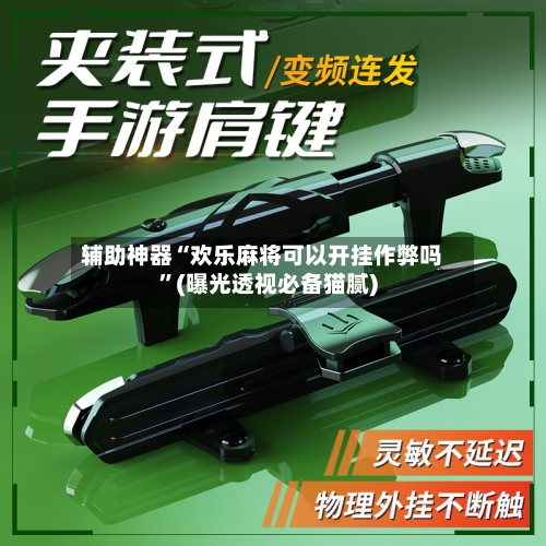 辅助神器“欢乐麻将可以开挂作弊吗”(曝光透视必备猫腻)