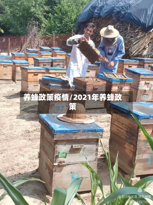 养蜂政策疫情/2021年养蜂政策-第1张图片