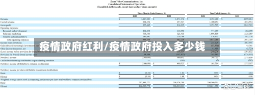 疫情政府红利/疫情政府投入多少钱