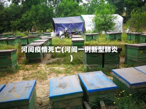 河间疫情死亡(河间一例新型肺炎)-第1张图片