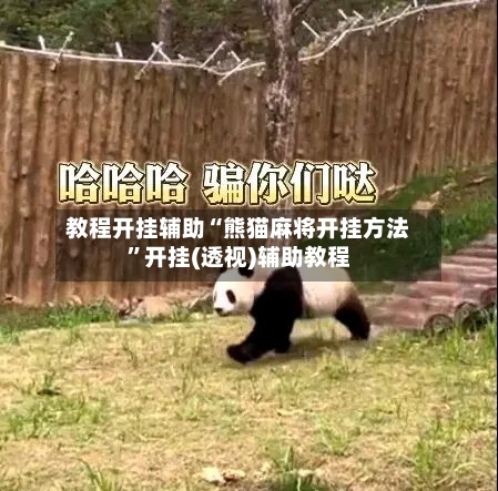 教程开挂辅助“熊猫麻将开挂方法”开挂(透视)辅助教程-第1张图片
